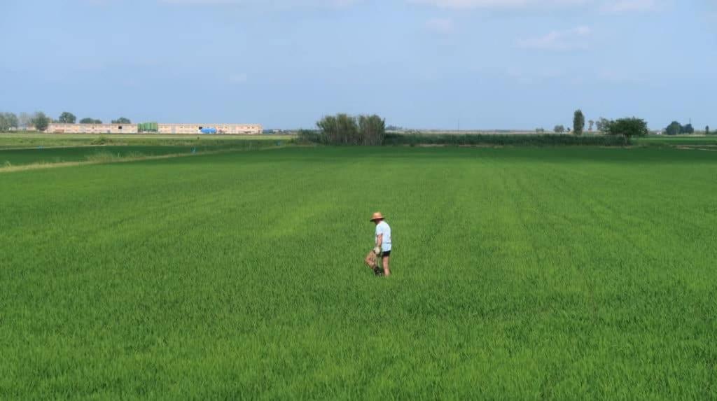 הוילה L'Aldea Mas De Melonet Delta Del Ebro מראה חיצוני תמונה